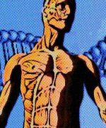 falta de proteínas en el organismo