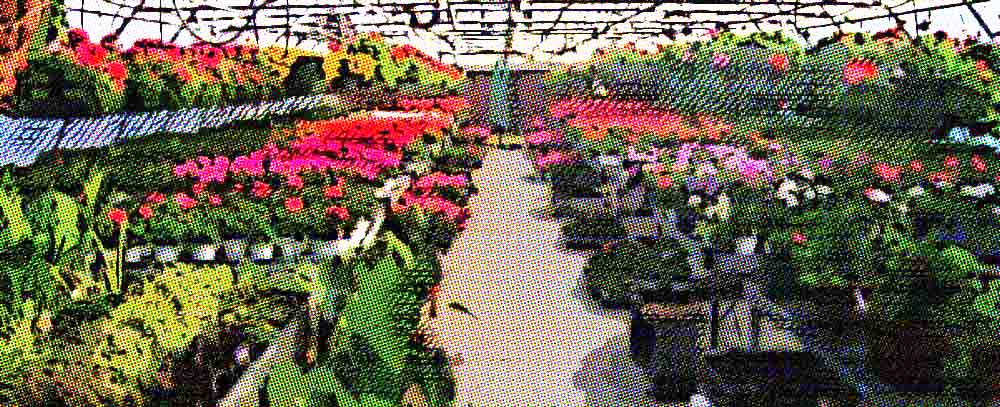 plásticos para la construcción de invernaderos