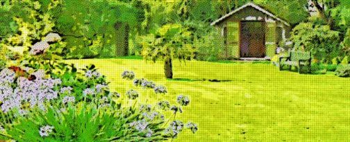 tipos de césped para jardín