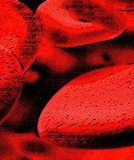 proteínas plasmáticas