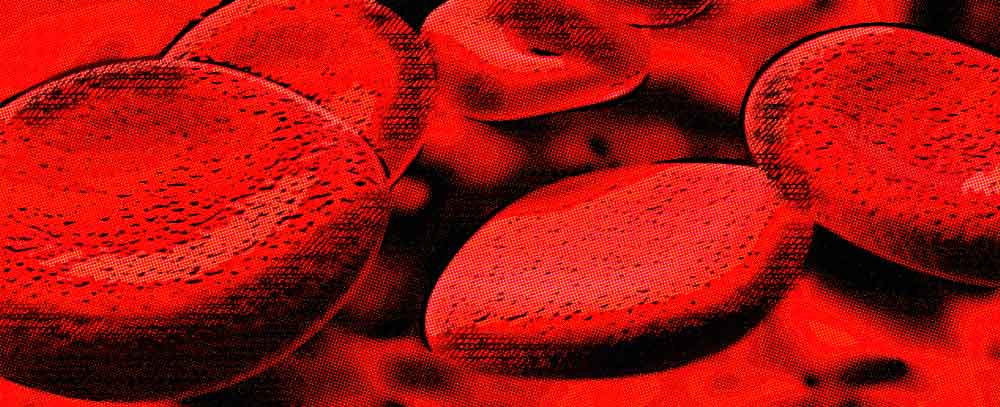 proteínas plasmáticas