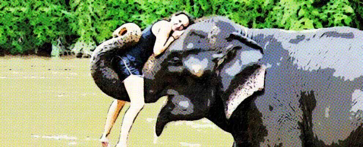 Cinco destinos donde contratar un paseo en elefante