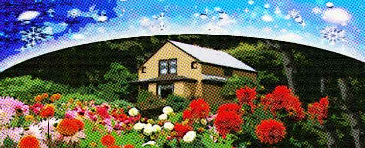 Diez consejos para cuidar las plantas en invierno