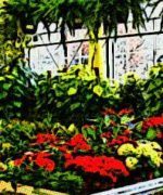 Tipos y estilos de construcción de viveros