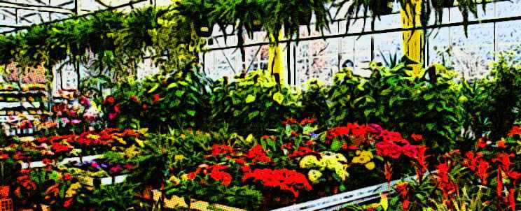 Tipos y estilos de construcción de viveros