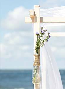 flores detalle