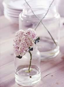 flores frascos