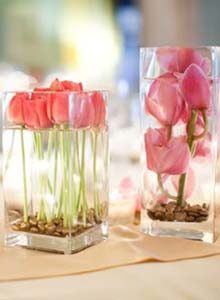 flores rosas