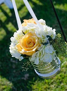 plantas con flores grandes
