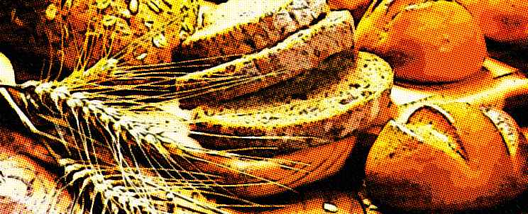 receta para hacer pan sin gluten apto para celíacos