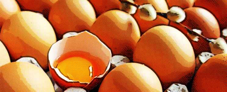 proteínas del huevo