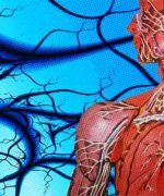 Las proteínas hidrolizadas