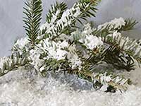 imagen de nieve casera