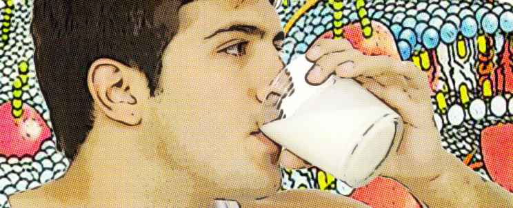 proteínas del suero de la leche