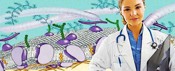 ¿Qué alimentos son ricos en proteínas?