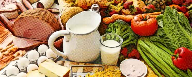 tipos de nutrición balanceada