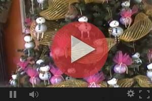 Video árbol de navidad