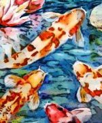 ¿cómo construir un estanque de jardín para peces?