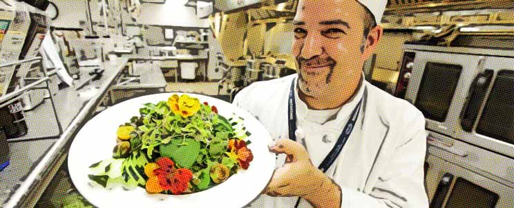 Excelentes alimentos orgánicos saludables