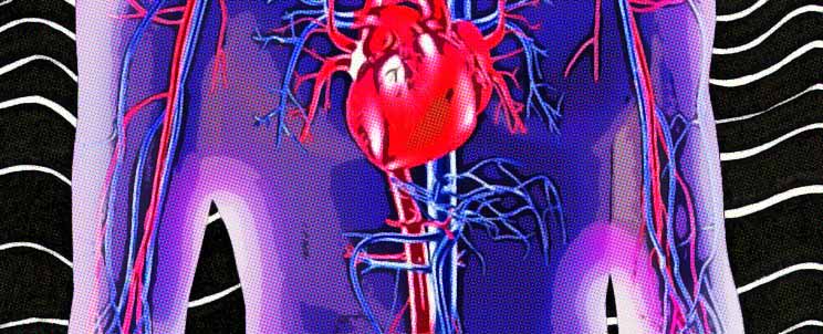 alimentos para aumentar el metabolismo
