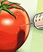 Consecuencias de los alimentos transgénicos