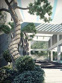 decoracion zen interior arbol