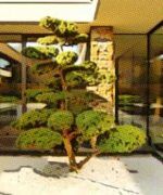 ideas de decoración Zen para un patio interior