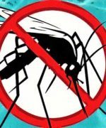 ¿Cómo evitar y eliminar larvas de mosquito en mi piscina?
