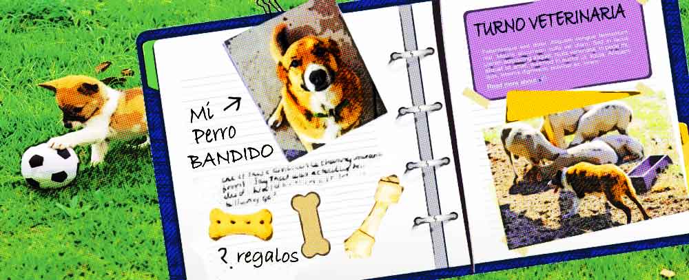 escribiendo un diario intimo de tu mascota