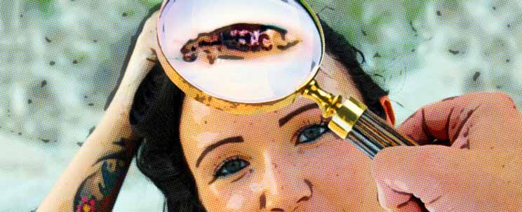 ¿Cómo quitar los piojos y las liendres?