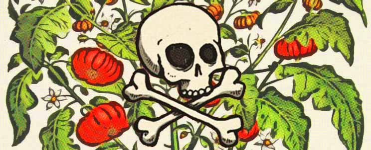 Plantas venenosas de jardín