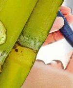 El azucar de caña y la diabetes
