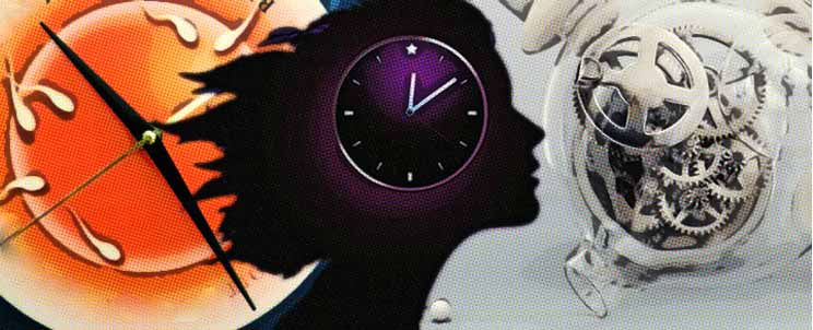 etapas del reloj biológico de la mujer