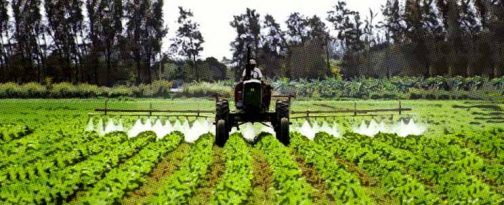 Los fertilizantes nitrogenados