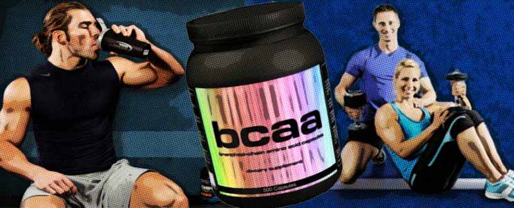 Aminoácidos ramificados bcaa