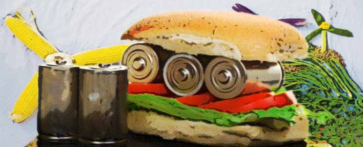 Dietoterapia energética