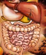 consejos para tener una buena digestión