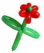 globo flor