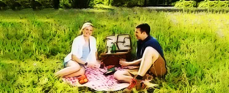 preparar un Picnic
