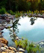 piscinas ecológicas