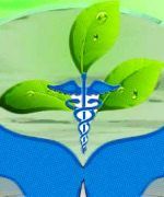 Medicina holística